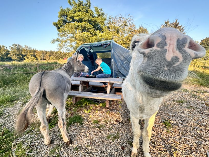 Kasper & Hubert zu Besuch!
